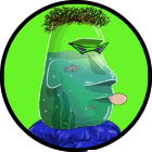 Contributor 4